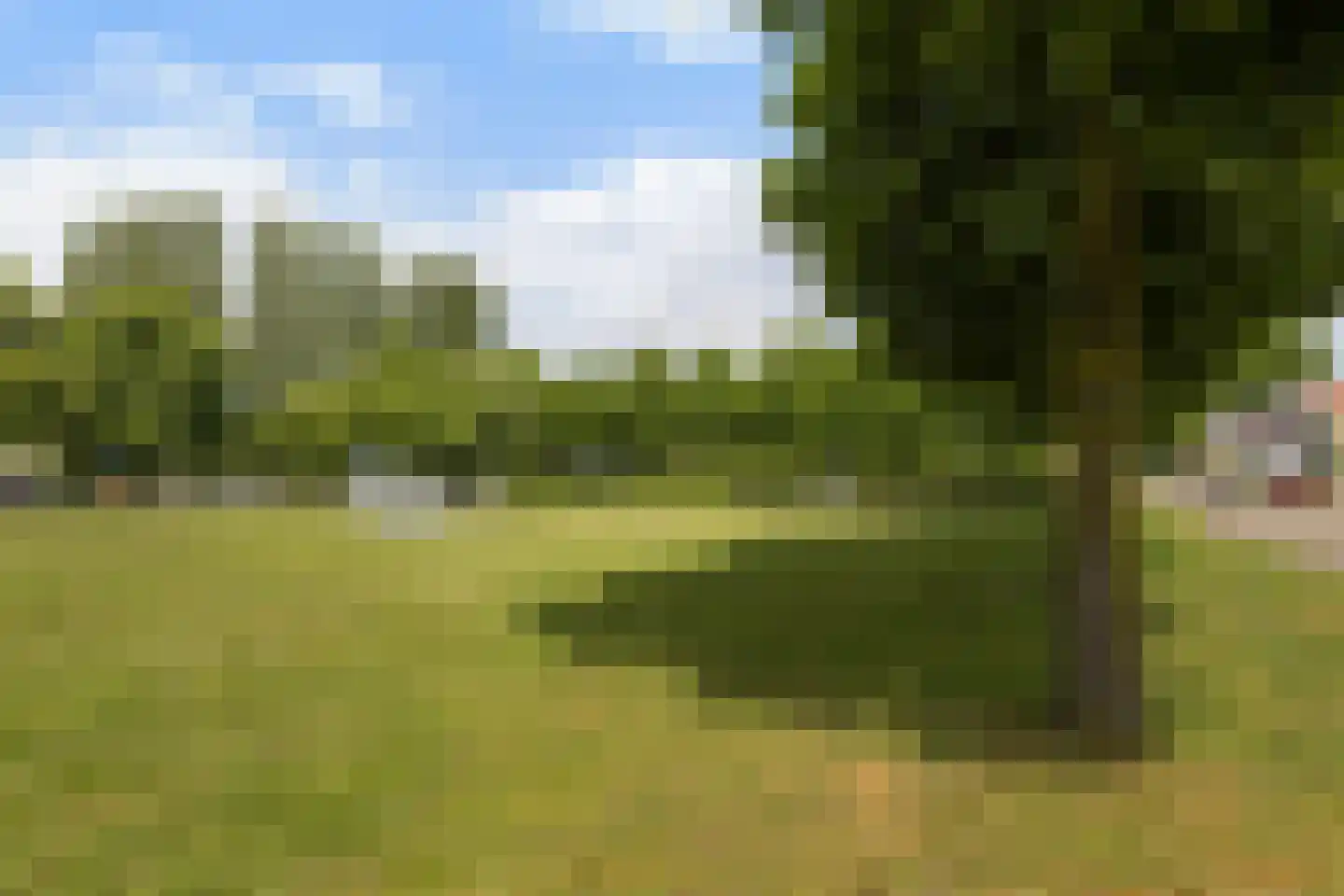 Pauwoog 43 Zeewolde thumbnail 37