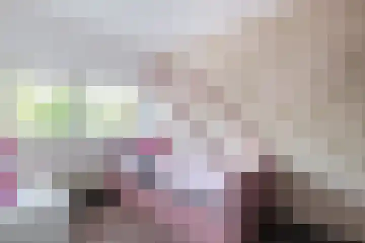 Pauwoog 48 Hoogeveen thumbnail 24