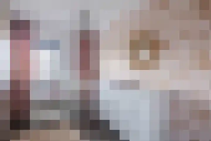 Pauwoog 48 Hoogeveen thumbnail 27
