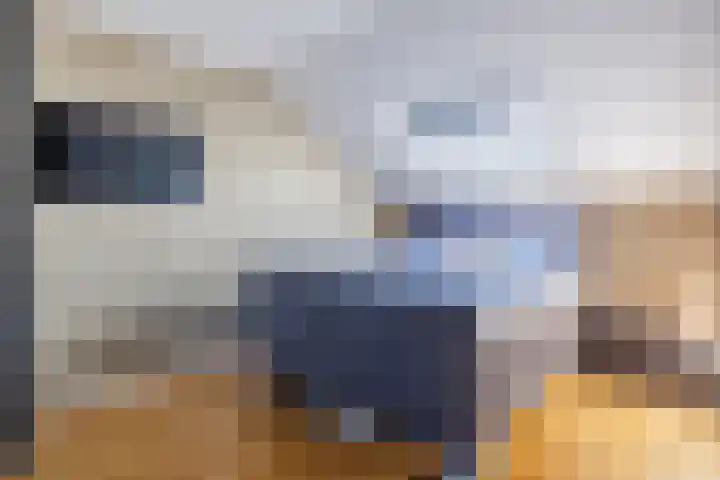 Pauwoog 48 Hoogeveen thumbnail 34