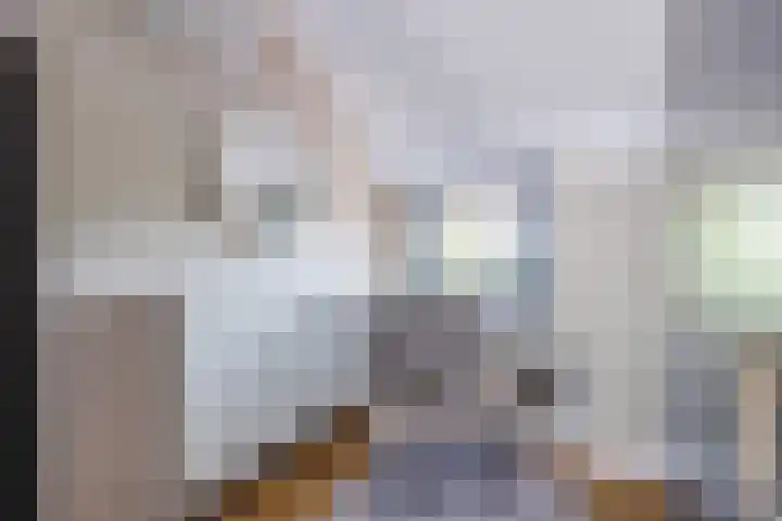 Pauwoog 48 Hoogeveen thumbnail 36