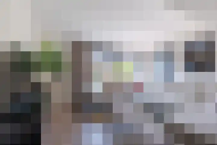 Pauwoog 48 Hoogeveen thumbnail 4