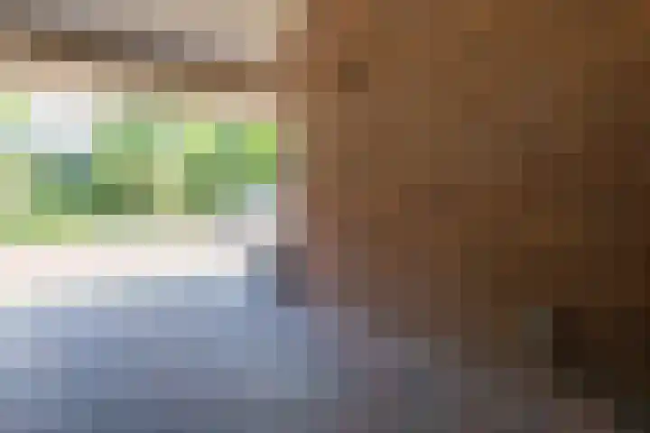 Pauwoog 48 Hoogeveen thumbnail 47