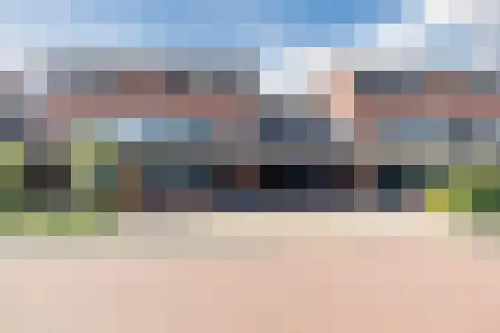 Pauwoog 48 Hoogeveen thumbnail 48