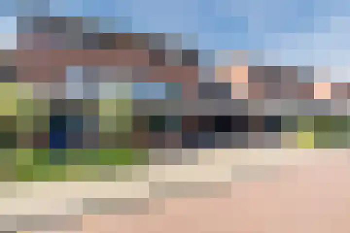 Pauwoog 48 Hoogeveen thumbnail 50