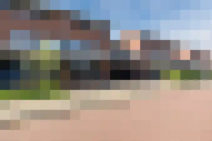 Pauwoog 48 Hoogeveen thumbnail 51