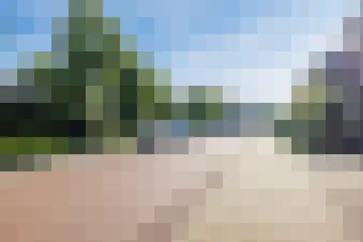 Pauwoog 48 Hoogeveen thumbnail 53