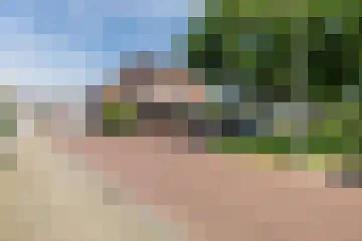 Pauwoog 48 Hoogeveen thumbnail 54