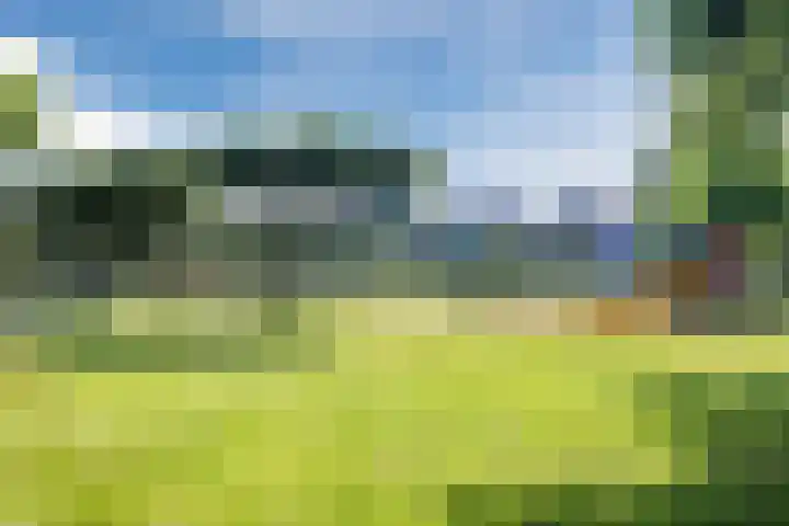 Pauwoog 48 Hoogeveen thumbnail 55