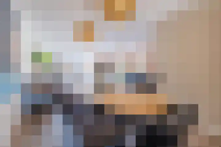 Pauwoog 48 Hoogeveen thumbnail 7