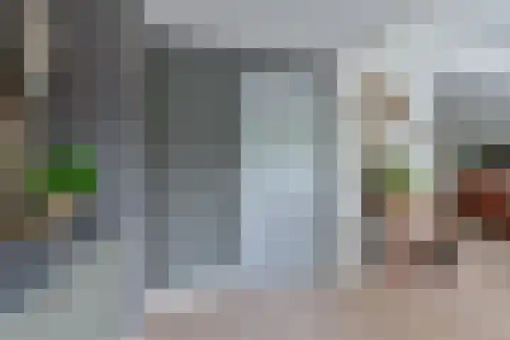 Pauwoog 52 Hoogeveen thumbnail 12