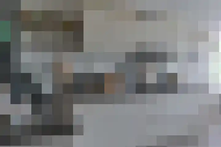 Pauwoog 52 Hoogeveen thumbnail 13