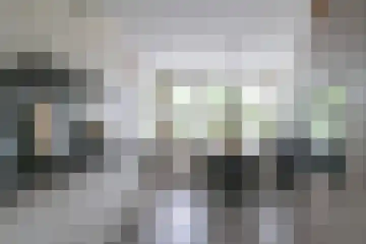 Pauwoog 52 Hoogeveen thumbnail 14