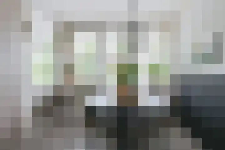 Pauwoog 52 Hoogeveen thumbnail 15