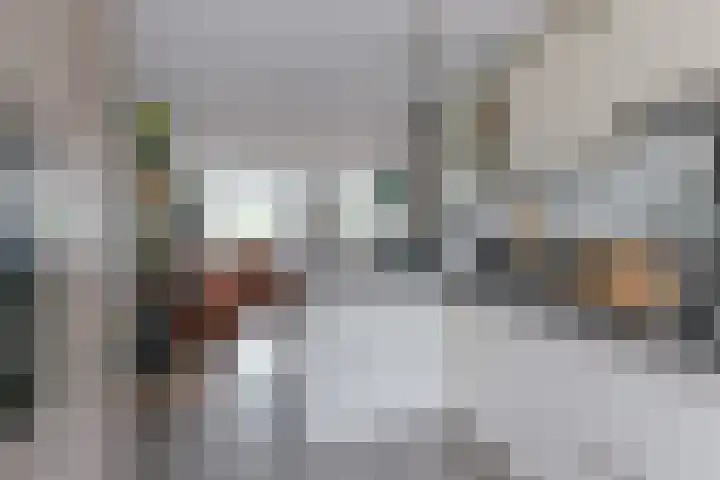 Pauwoog 52 Hoogeveen thumbnail 17