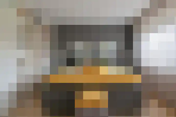 Pauwoog 52 Hoogeveen thumbnail 21