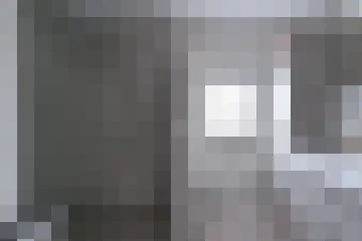 Pauwoog 52 Hoogeveen thumbnail 23