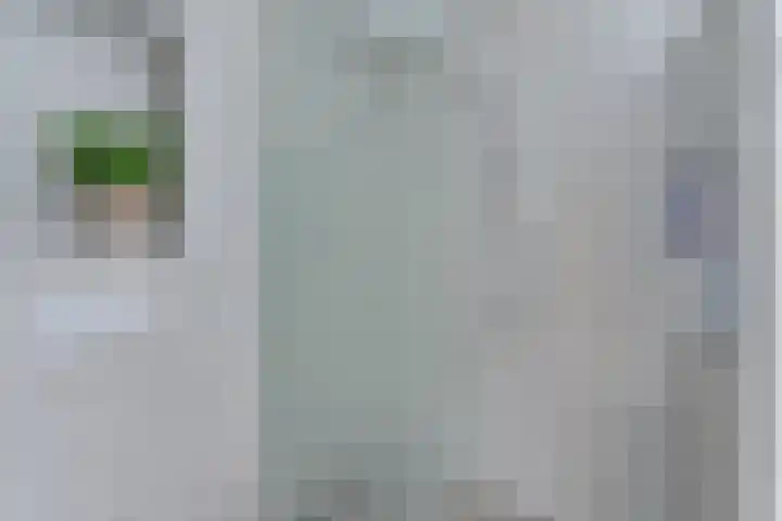 Pauwoog 52 Hoogeveen thumbnail 26