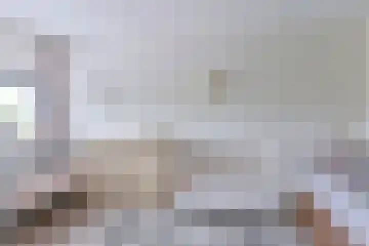 Pauwoog 52 Hoogeveen thumbnail 29
