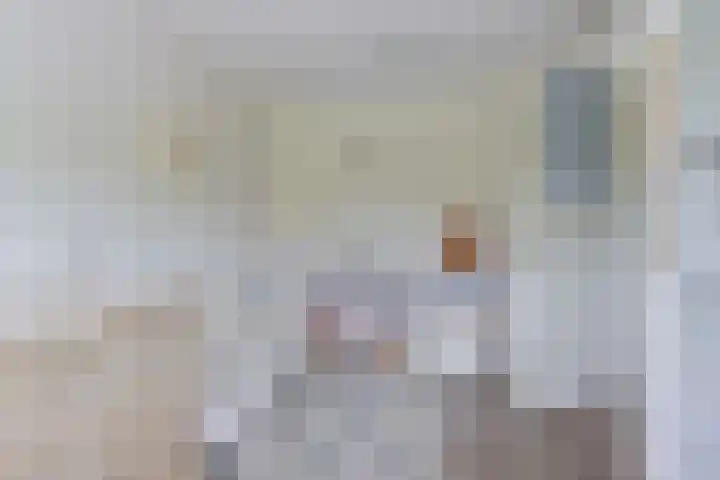 Pauwoog 52 Hoogeveen thumbnail 31