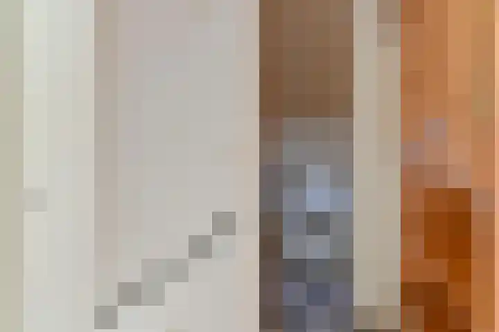 Pauwoog 52 Hoogeveen thumbnail 32