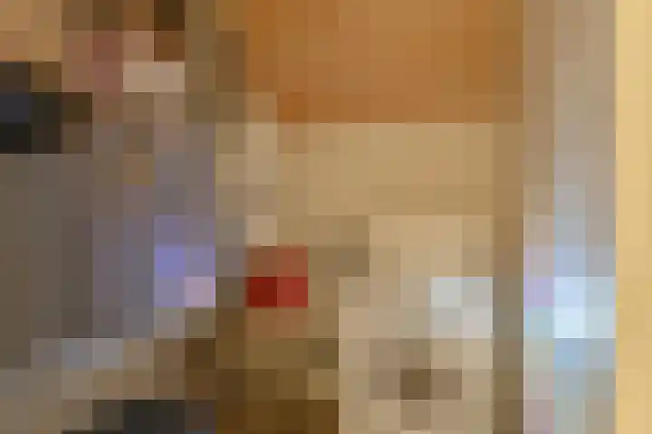 Pauwoog 52 Hoogeveen thumbnail 33