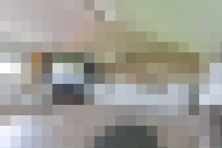 Pauwoog 52 Hoogeveen thumbnail 35