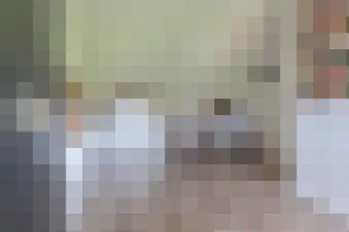 Pauwoog 52 Hoogeveen thumbnail 36