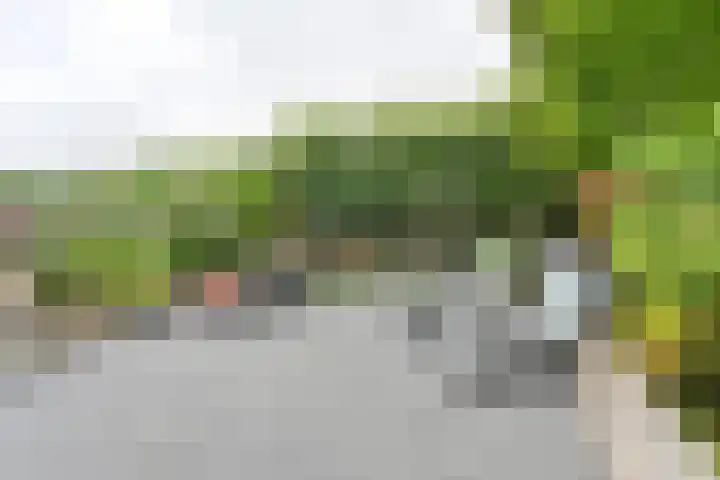 Pauwoog 52 Hoogeveen thumbnail 37