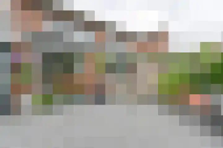 Pauwoog 52 Hoogeveen thumbnail 38
