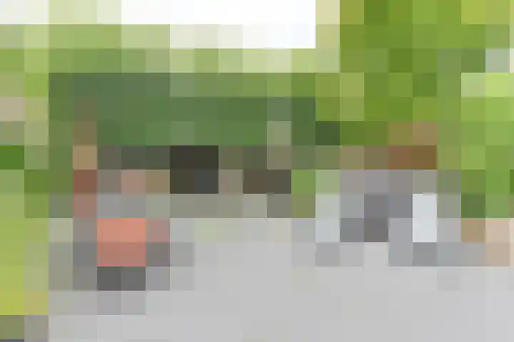 Pauwoog 52 Hoogeveen thumbnail 39