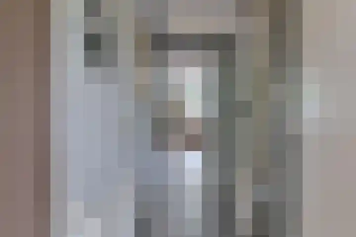 Pauwoog 52 Hoogeveen thumbnail 4