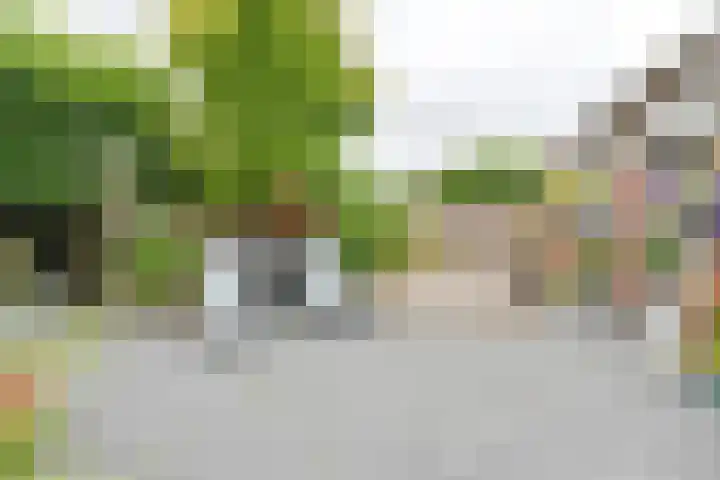 Pauwoog 52 Hoogeveen thumbnail 40