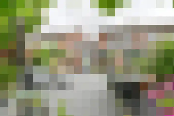 Pauwoog 52 Hoogeveen thumbnail 41