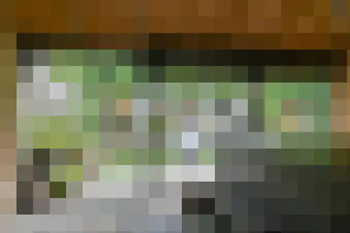 Pauwoog 52 Hoogeveen thumbnail 43