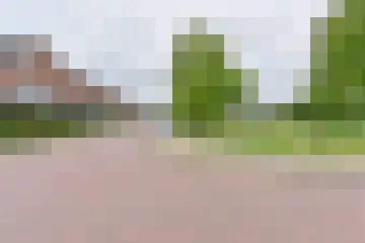 Pauwoog 52 Hoogeveen thumbnail 45