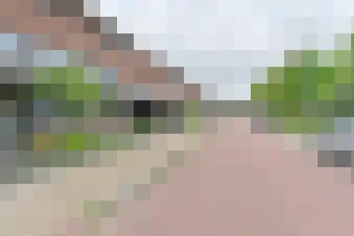 Pauwoog 52 Hoogeveen thumbnail 46
