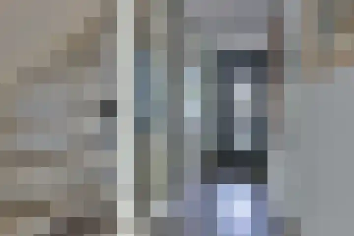 Pauwoog 52 Hoogeveen thumbnail 5