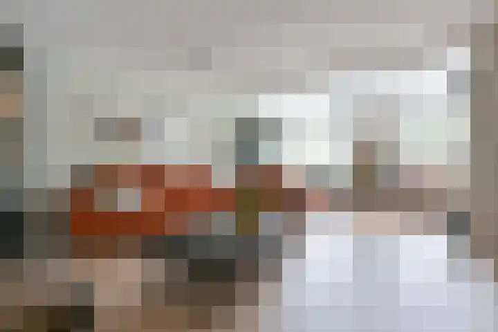 Pauwoog 52 Hoogeveen thumbnail 7