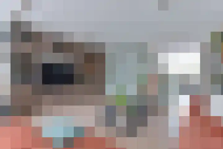 Pauwoog 52 Hoogeveen thumbnail 9