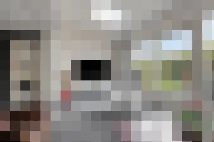 Pauwoog 54 Hoogeveen thumbnail 10