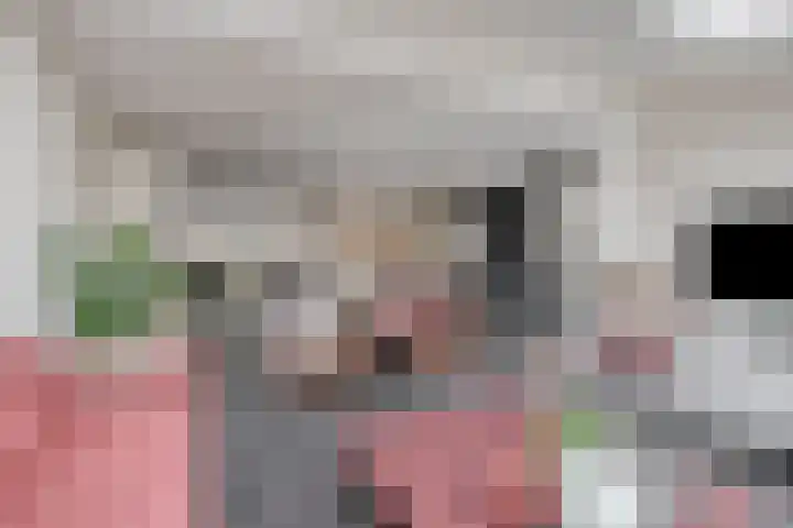 Pauwoog 54 Hoogeveen thumbnail 11