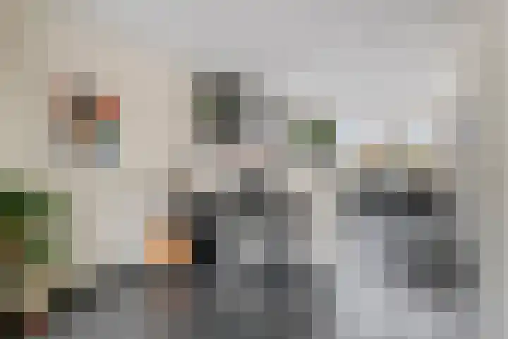 Pauwoog 54 Hoogeveen thumbnail 13