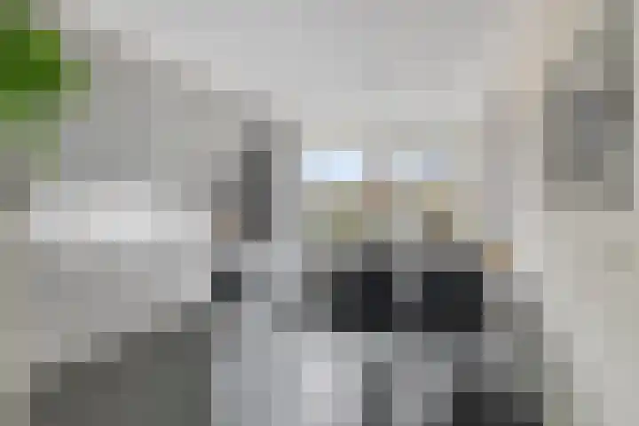 Pauwoog 54 Hoogeveen thumbnail 14
