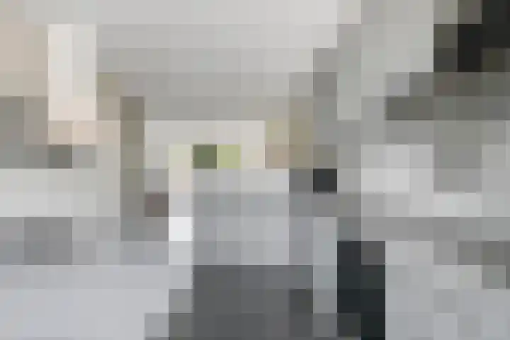 Pauwoog 54 Hoogeveen thumbnail 16