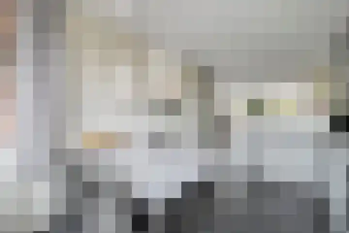 Pauwoog 54 Hoogeveen thumbnail 17
