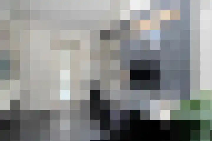 Pauwoog 54 Hoogeveen thumbnail 20