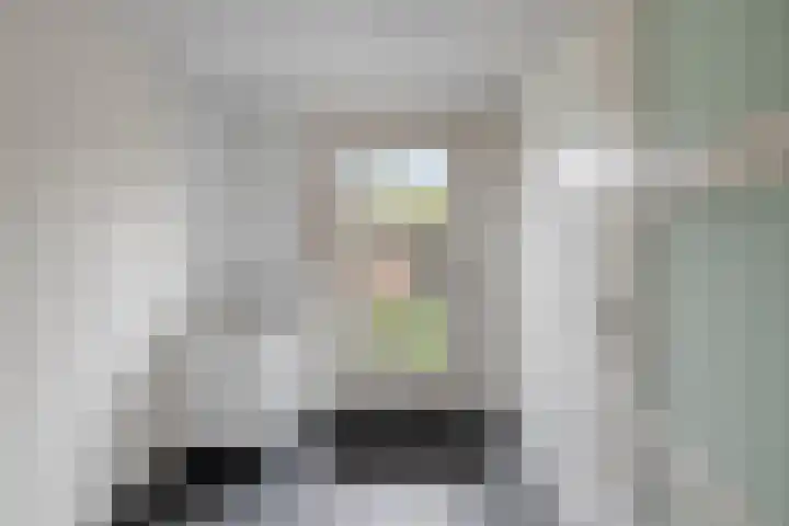 Pauwoog 54 Hoogeveen thumbnail 21