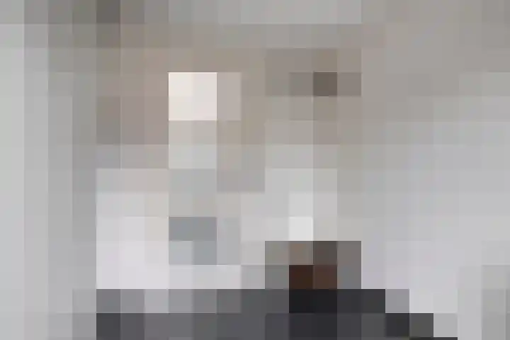 Pauwoog 54 Hoogeveen thumbnail 22