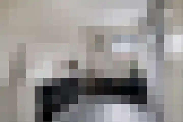 Pauwoog 54 Hoogeveen thumbnail 28